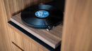 Pro-Ject Audio Debut Carbon EVO Turntable