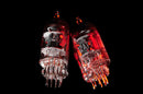 Ray Tubes 12AT7 CORE Vacuum Tube