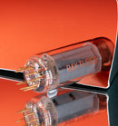 Ray Tubes EL84 SELECT Vacuum Tube