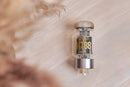 Ray Tubes KT88 SELECT Vacuum Tube