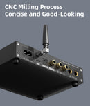 SMSL D-6 DAC (Apos Certified)