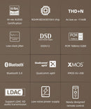 SMSL D300 Desktop DAC