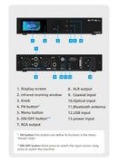 SMSL D300 Desktop DAC
