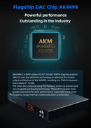 SMSL VMV D2 DAC