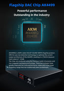 SMSL VMV D2 DAC (Apos Certified)