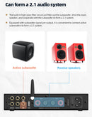 SMSL A300 Power Amplifier (Apos Certified)