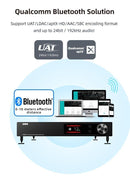 SMSL VMV A2 High Resolution 200Wx2 Power Amplifier