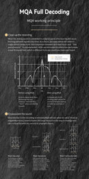 SMSL RAW-MDA 1 DAC/Amp (Apos Certified)