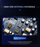 SMSL PA-X Gallium Nitride Power Amplifier