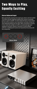 SMSL PA400 Gallium Nitride Power Amplifier