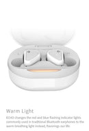 Tanchjim Echo TWS Bluetooth 5.2 IEM