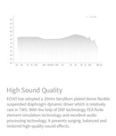 Tanchjim Echo TWS Bluetooth 5.2 IEM