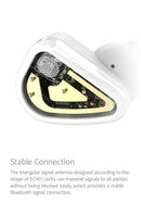 Tanchjim Echo TWS Bluetooth 5.2 IEM