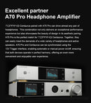 TOPPING Centaurus Fully-balanced R2R DAC