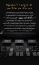 TOPPING A900 Ultra-Flagship Headphone Amplifier (Apos Certified)