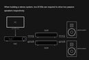 TOPPING B100 Mono Pure Power Amplifier