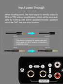 TOPPING L50 Headphone Amp
