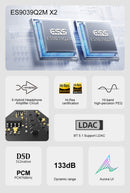 TOPPING DX5 II DAC/Amp