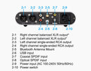 TOPPING DX5 Lite Desktop DAC/Amp (Apos Certified)