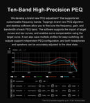 TOPPING DX9 Discrete DAC/Amp (Apos Certified)