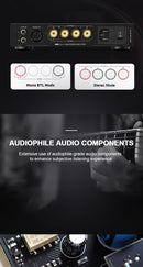VMV A1 PRO Gallium Nitride Power Amp (Apos Certified)