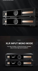 VMV A1 PRO Gallium Nitride Power Amp (Apos Certified)
