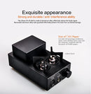 xDuoo TA-20 Tube Amp (Apos Certified)