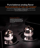 xDuoo TA-20 Tube Amp (Apos Certified)