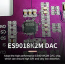 xDuoo DA-100 HD Bluetooth Power Amplifier