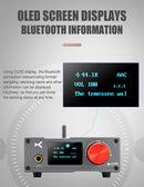xDuoo DA-100 HD Bluetooth Power Amplifier