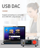 xDuoo DA-100 HD Bluetooth Power Amplifier