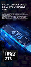 xDuoo DP-10 Digital Music Transport