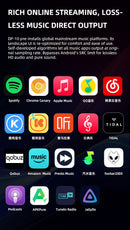 xDuoo DP-10 Digital Music Transport