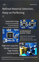 xDuoo XA-10 DAC/Headphone Amp (Apos Certified)