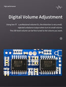 xDuoo XA-10 DAC/Headphone Amp (Apos Certified)