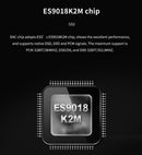 xDuoo XP-2 BAL Balanced Bluetooth DAC/Amp