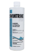Applied Bio Swimtrine Plus Algaecide 32 fl oz Bottle | 4009910