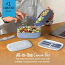 Adult Bento Box - Gray