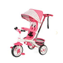 5-in-1 Detachable Baby Stroller Tricycle