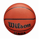 NBA Indoor/Outdoor Basketball