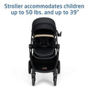 Zelia Pro 5-in-1 Travel System with Mico Pro Infant Car Seat - Caspian Caviar
