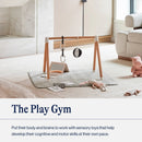 Play Gym Activity Set - Sage
