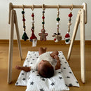 Montessori Baby Gym & Hanging Toys Set | Wooden Play Gym for Babies