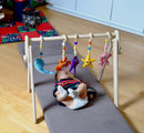 Montessori Baby Gym & Hanging Toys Set | Wooden Play Gym for Babies