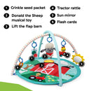 Happy Harvest Touch & Feel Activity Gym