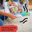 Musical Bouncer Seat - Neptune