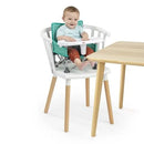 Portable Booster Seat
