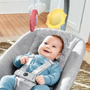Float Baby Bouncer Seat - Gray