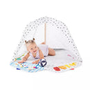 The Play Gym