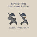 Metro+ Deluxe Compact Baby Stroller - London Grey